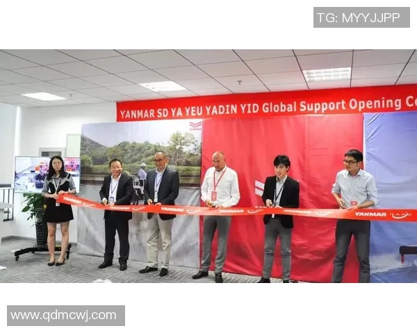 立足巅峰视野广阔放眼全球共创未来新篇章