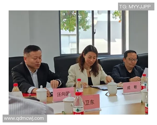 新宝GG研发管理体系的创新实践与优化路径探讨