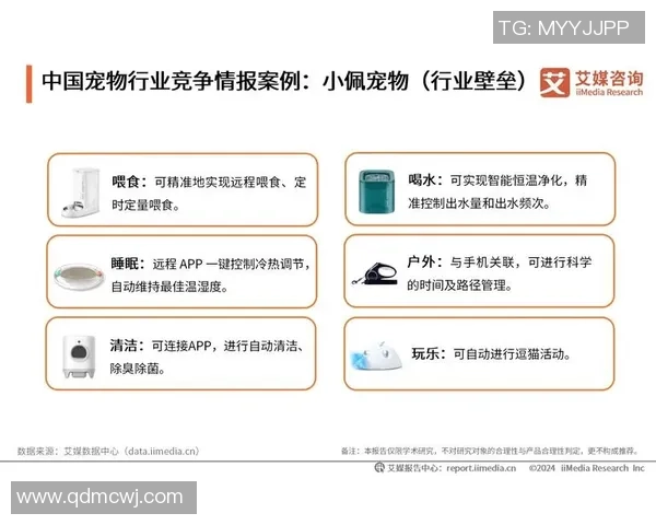 韩国KeSPA政府主导模式与欧美市场主导模式的比较分析与启示 韩国KeSPA政府主导模式与欧美市场主导模式的比较分析与启示
